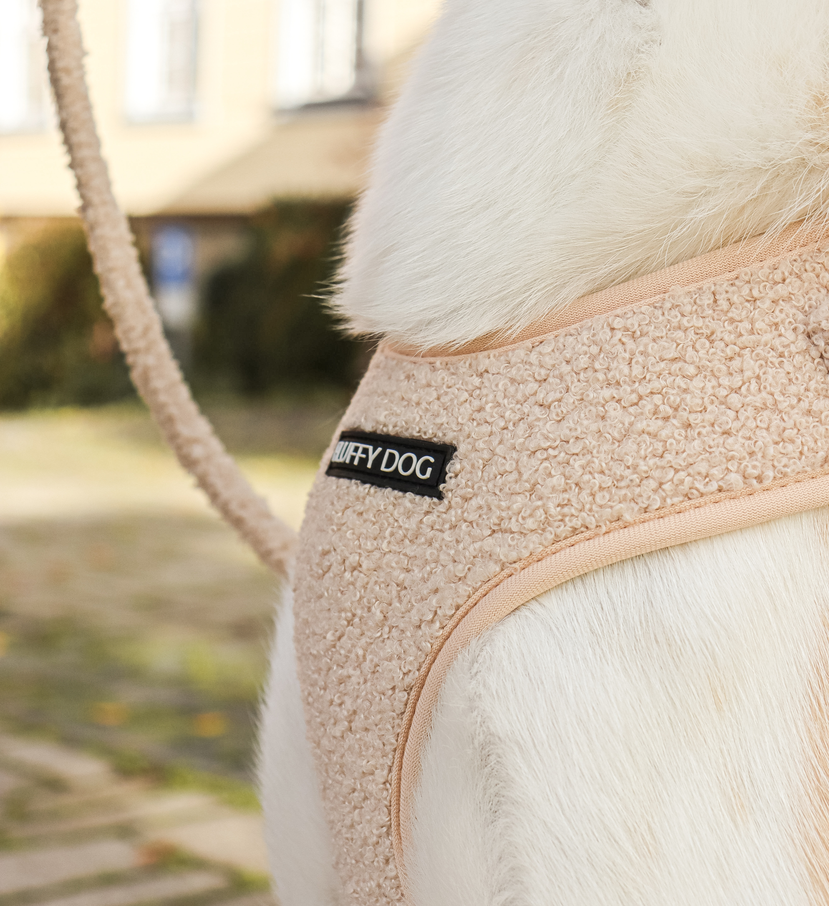 Teddy dog ​​harness