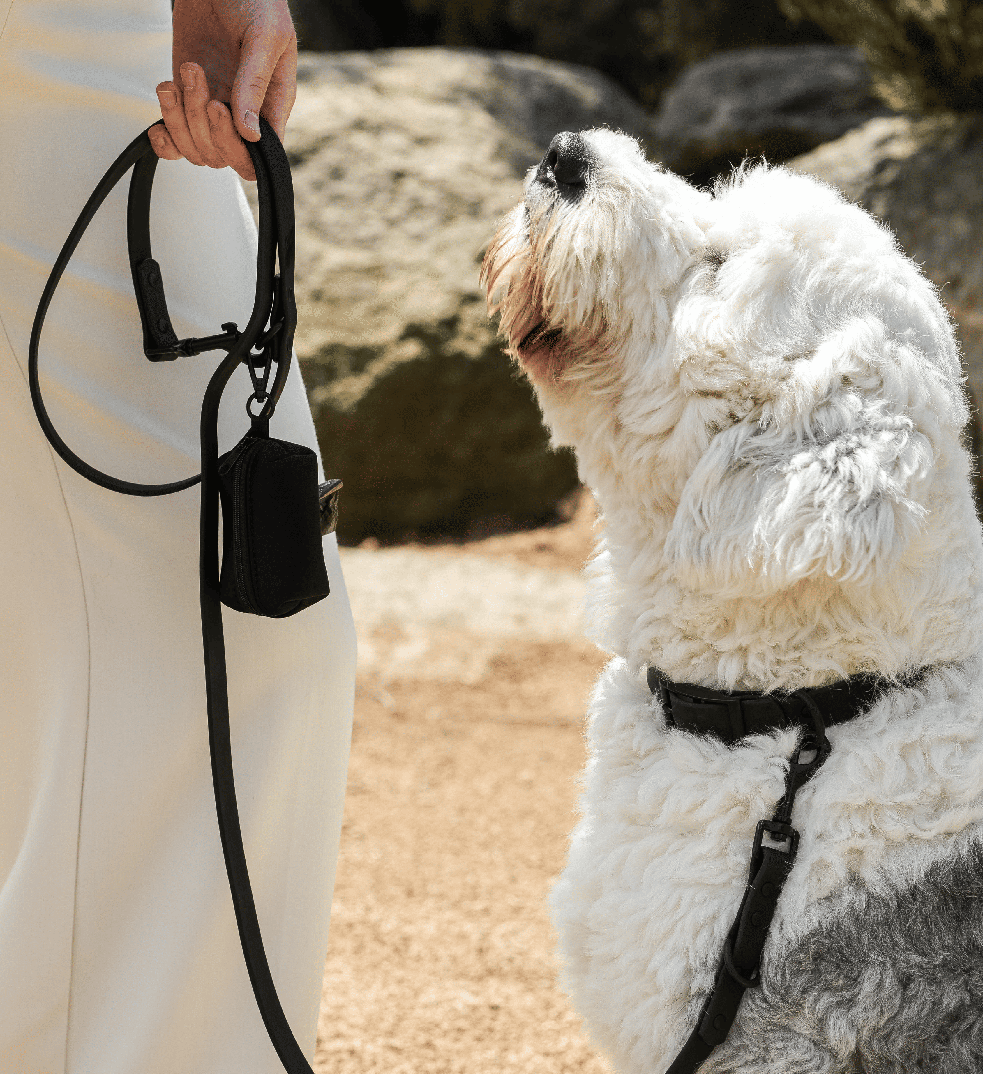 BioThane® All Black dog leash