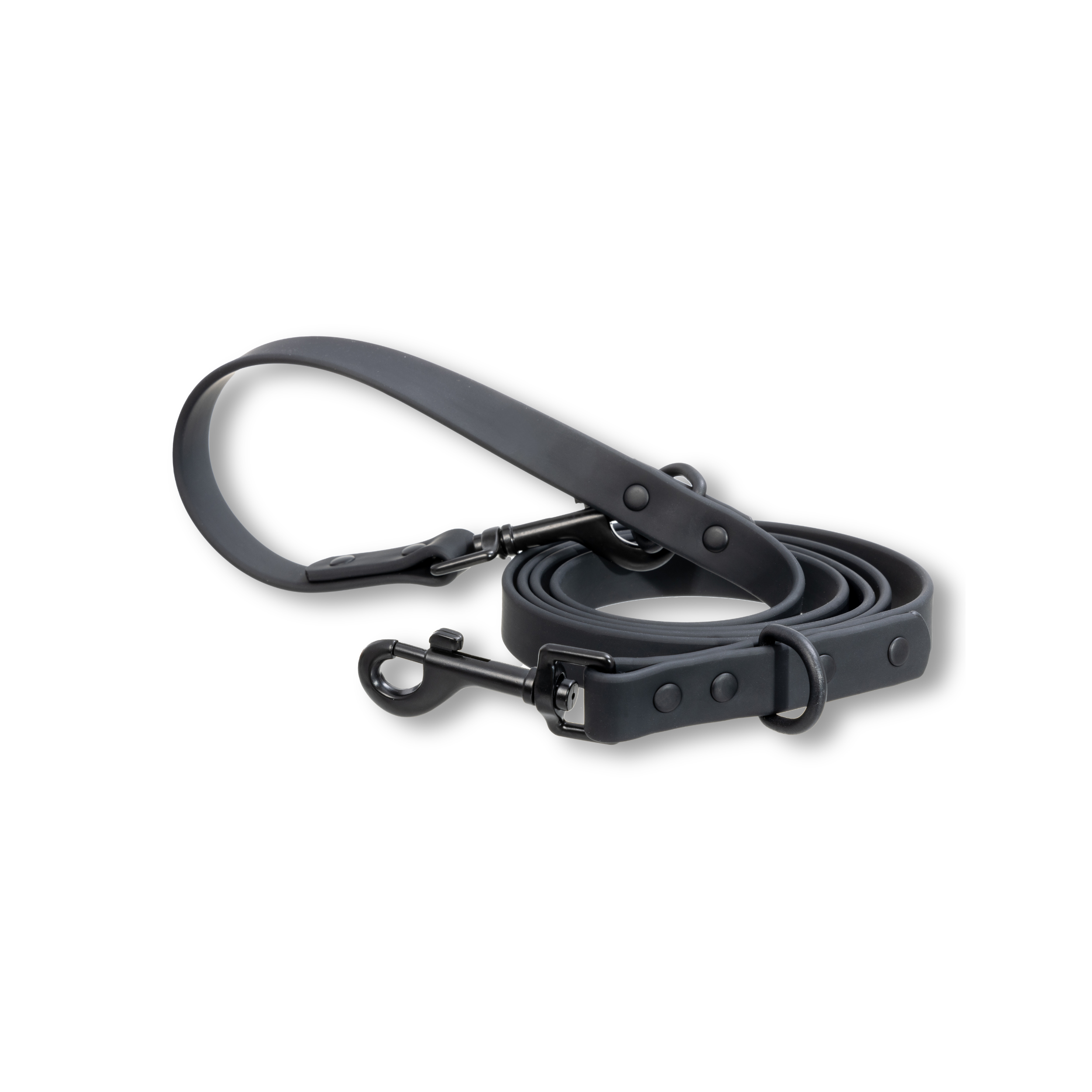 BioThane® All Black dog leash