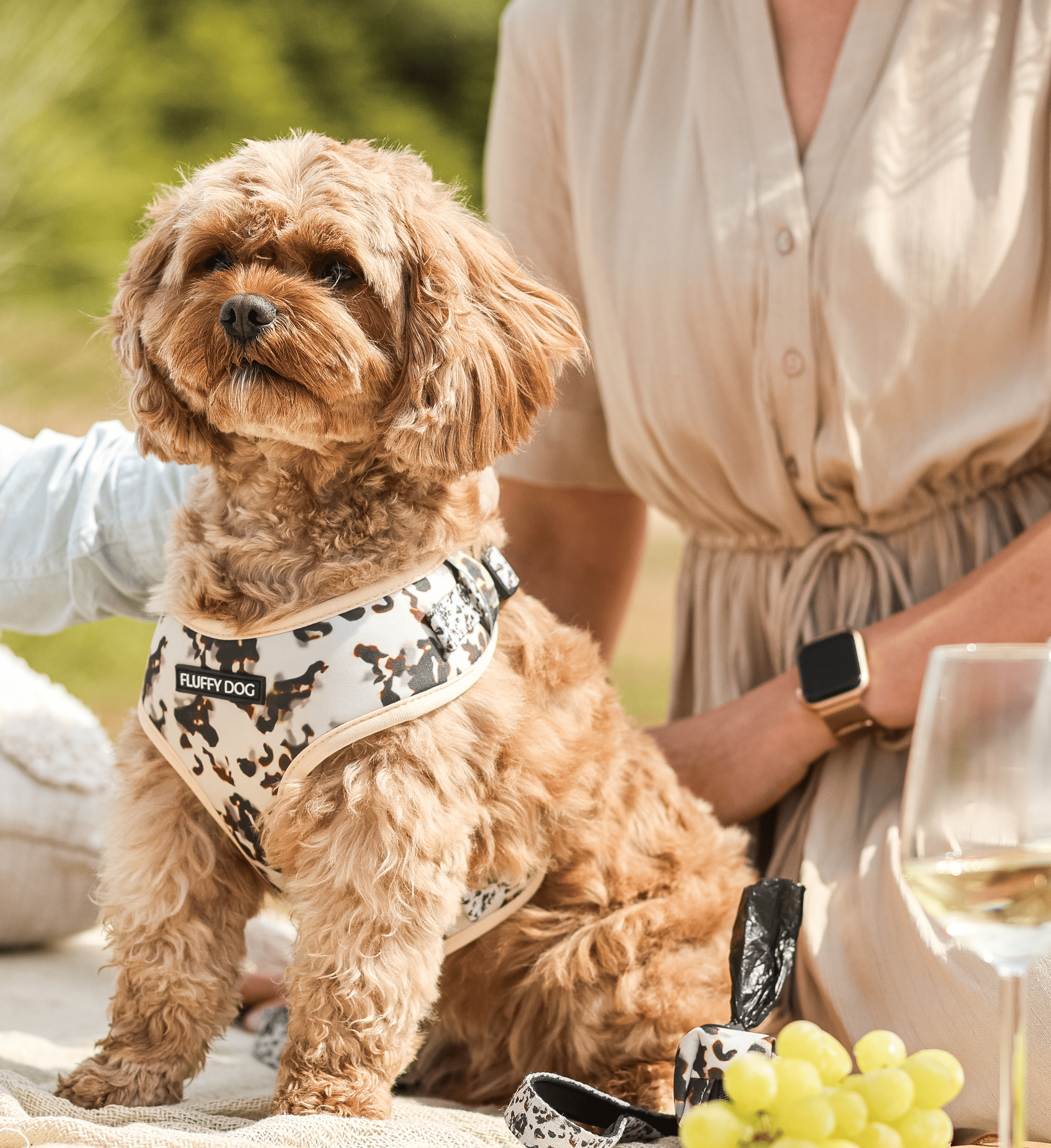 Coffee Essential Harness Set: Harness, Leash &amp; Poop Bag Dispenser