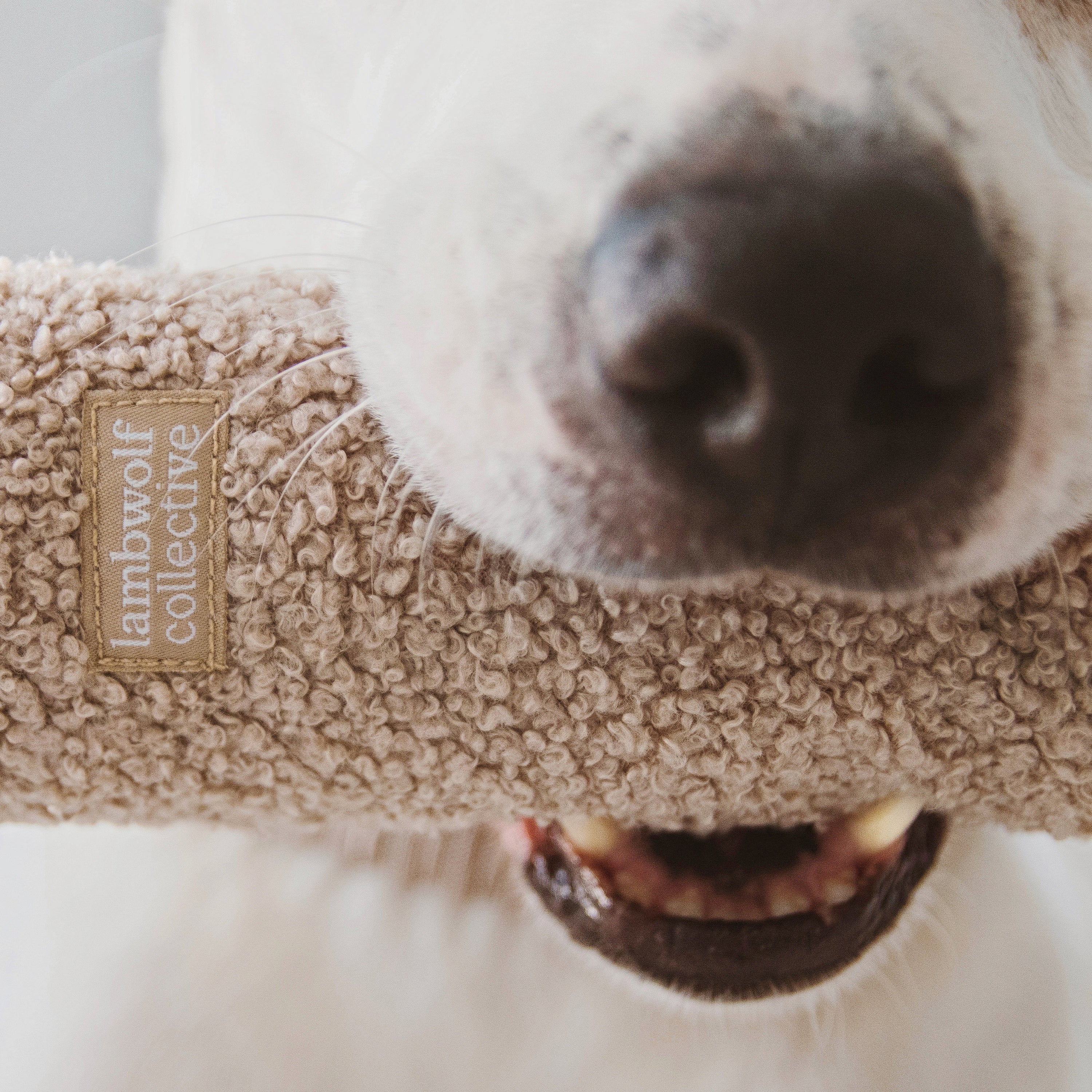 O NOU toy snake oats