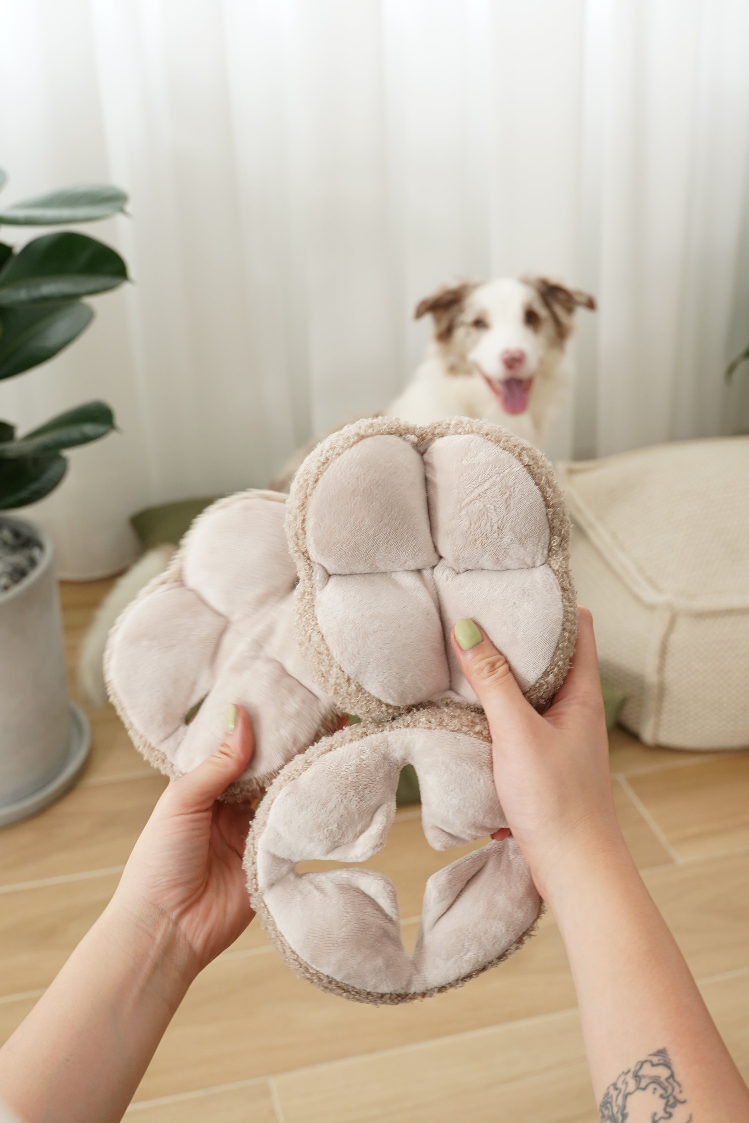 MONTI Schüffelball Hafer 