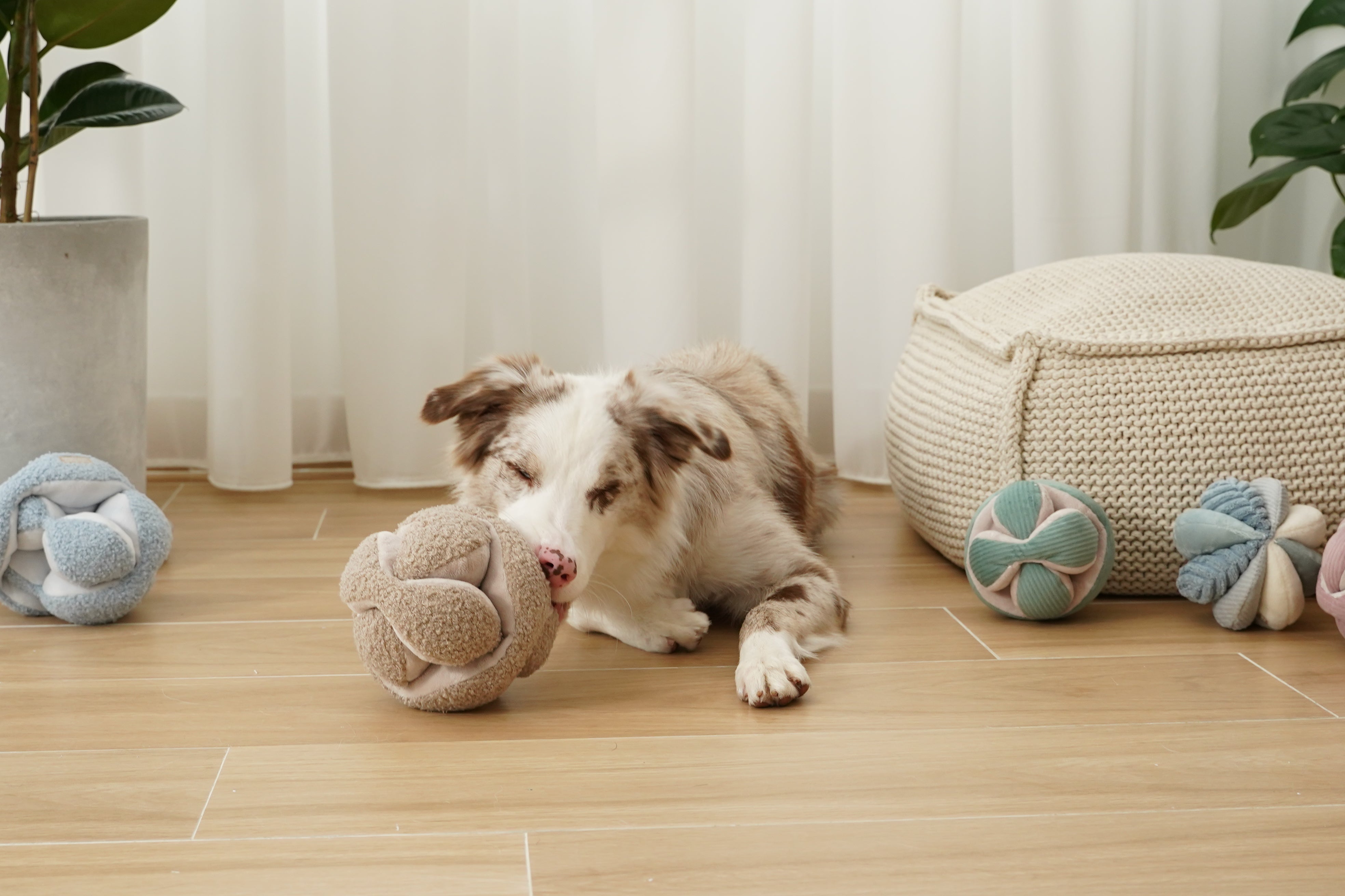 MONTI Schüffelball Hafer 