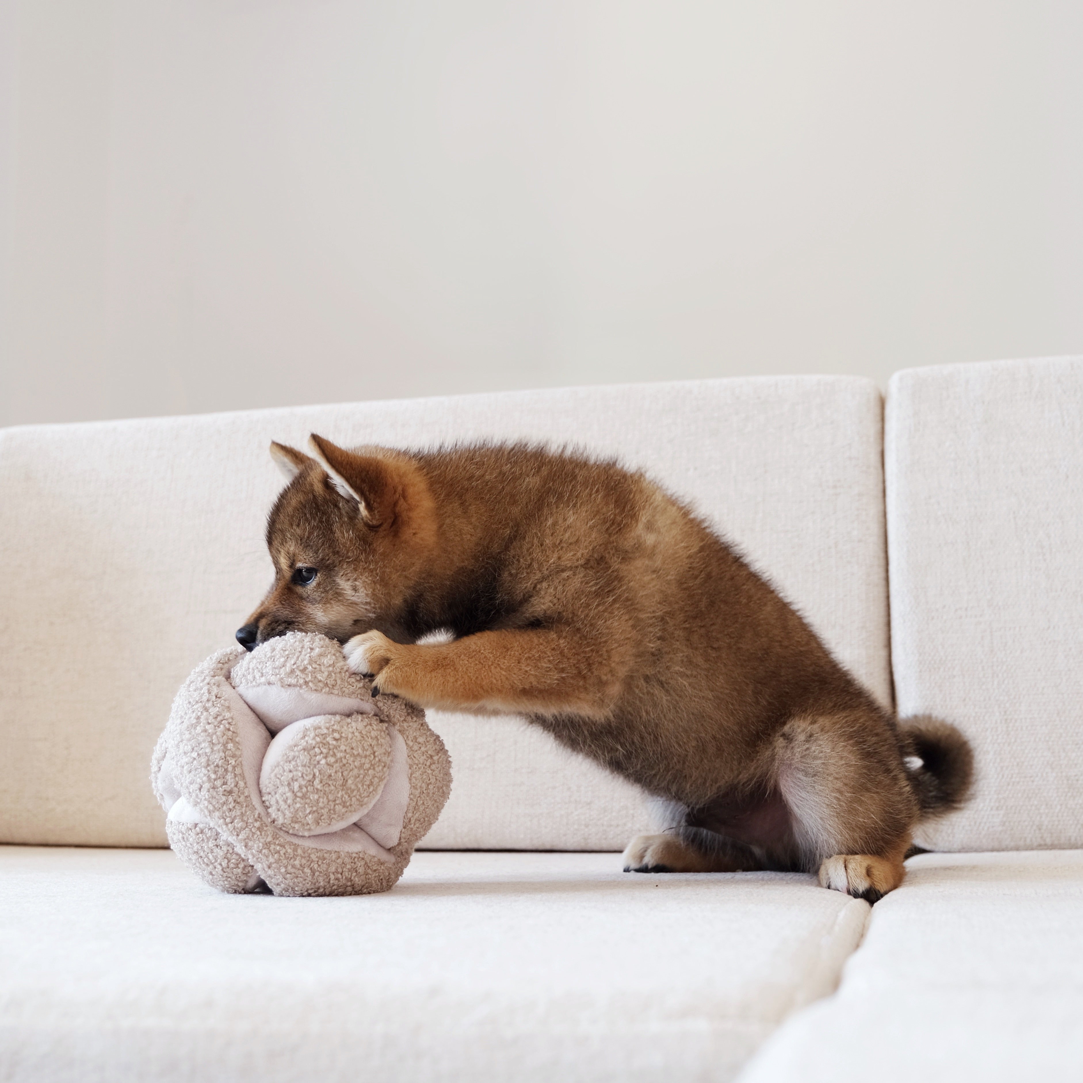 MONTI Schüffelball Hafer 