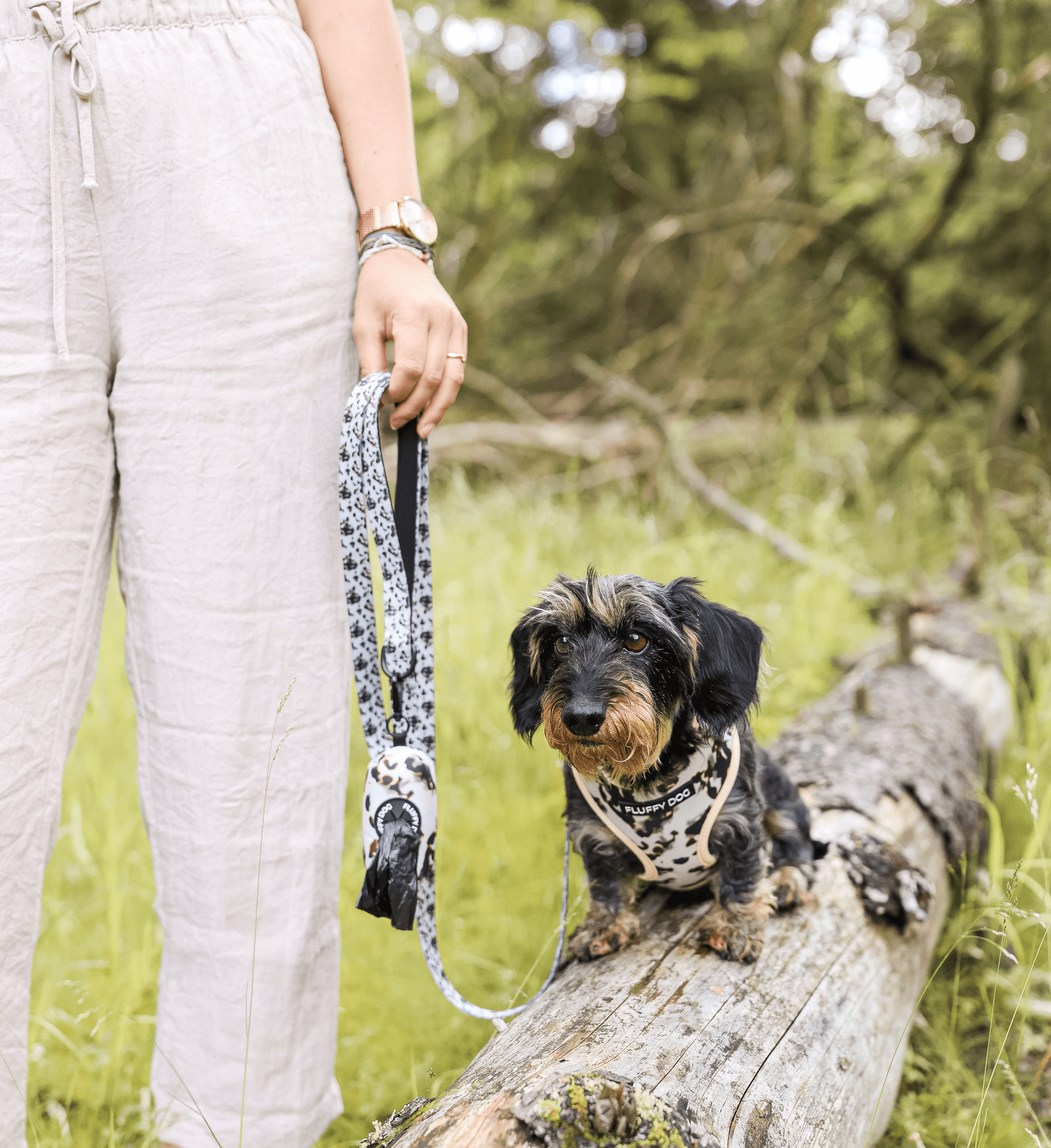 Coffee Essential Harness Set: Harness, Leash &amp; Poop Bag Dispenser