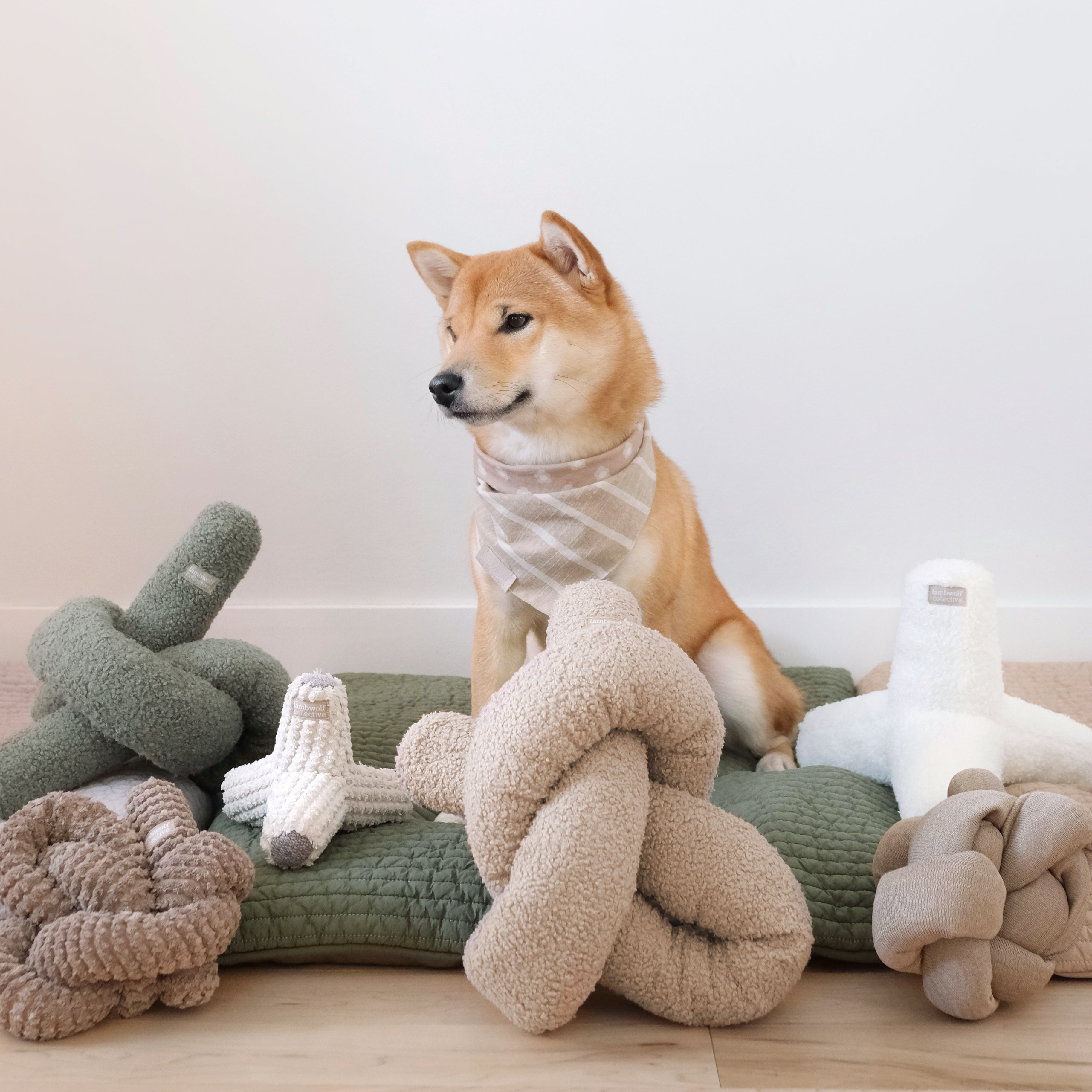 O NOU toy snake oats