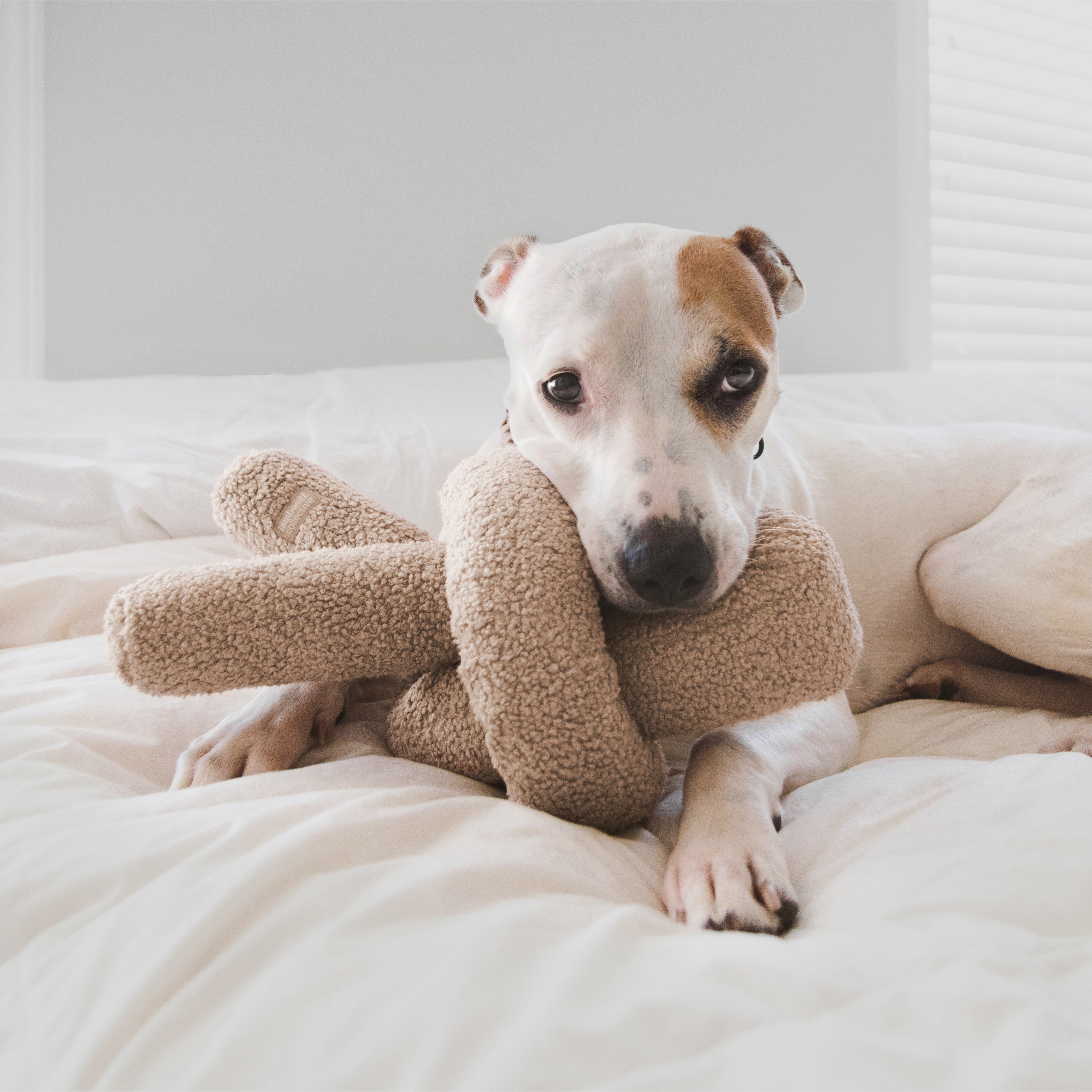 O NOU toy snake oats